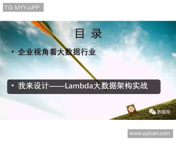 深入分析重庆排球队反击战术的独特魅力与实战应用