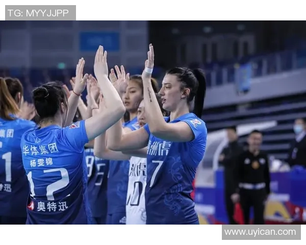 深圳排球队边路渗透战术解析与深度剖析排球技术的魅力与挑战