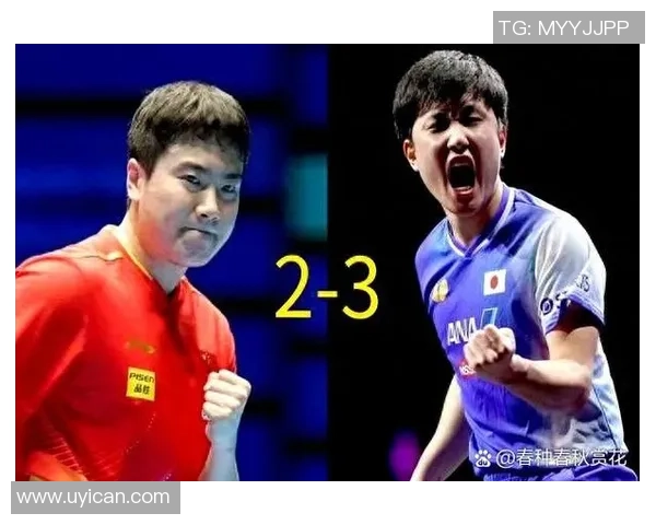 最新乒乓球状态TOP10：武汉乒乓球队领跑_1